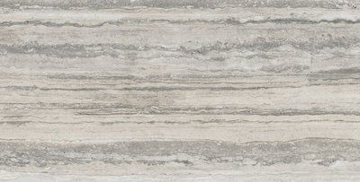 Плитка керамогранітна CSATIPSI12 Tipos Silver 600x1200x10 Sant'agostino CSATIPSI12 фото