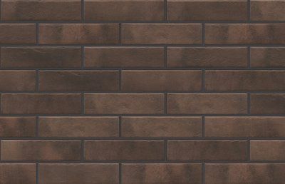 Плитка фасадна Retro Brick Cardamom 65x245x8 Cerrad 5901779371986 фото