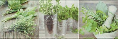 Декор Salerno Glass Kitchen 1 Inserto 200x600x8,5 Konskie 5902027010329 фото
