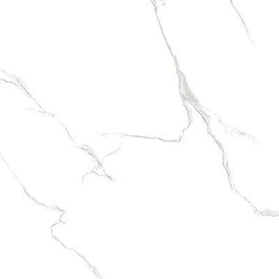 Плитка керамогранитная Silver Statuario POL 600x600 Raviraj Silver Statuario 60x60 polishe фото