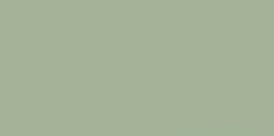 Плитка настенная Feelings Green RECT 298x598x9 Paradyz S-R-298X598-1-FEES.GN фото