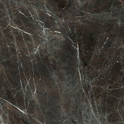 Плитка керамогранитная Tosi Brown RECT POL 598x598x9 Paradyz RPR-598X598-1-TOSI.BR фото