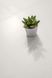 Плитка керамогранітна CSAIAWHN90 Insideart White NAT 900x900x10 Sant'agostino CSAIAWHN90 фото 2