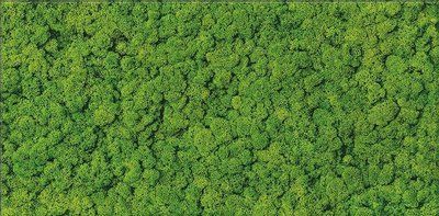 Декор Moss Glass RECT 300x600 Ceramika Color 5902706503241 фото