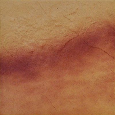 Плитка універсальна Jesienny Lisc RUST 300x300x9 Cerrad 5903263445470 фото