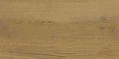 Плитка настенная Intense Wood RECT 300x600 Ceramika Color 5903943501113 фото