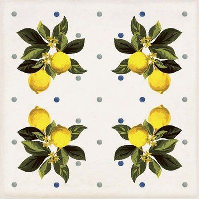 Декор CSAGIMXL20 Vita Giardino Bianco Mix Luc 200x200x10 Sant'agostino CSAGIMXL20 фото