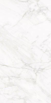 Плитка керамогранитная Frost White P-P FW 01 POL 297x597x8,5 Nowa Gala P-P-FW01-30X060-095-1-1 фото