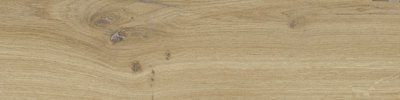 Плитка керамогранитная Dublin Beige 155x620x8 StarGres 5905957078322 фото