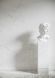 Плитка керамогранітна Marmo Thassos White POL 597x1197x8 Cerrad 5903313330831 фото 3