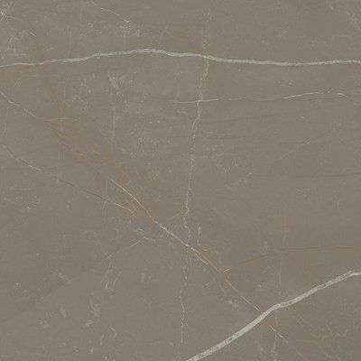 Плитка керамогранітна Linearstone Taupe RECT 598x598x9 Paradyz R-R-598X598-1-LINE.TA фото