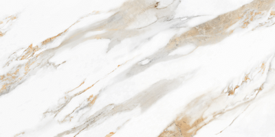 Плитка керамогранитная Calacatta Gold Серый POL 1200x2400x8 Intercerama 24012035071/L фото